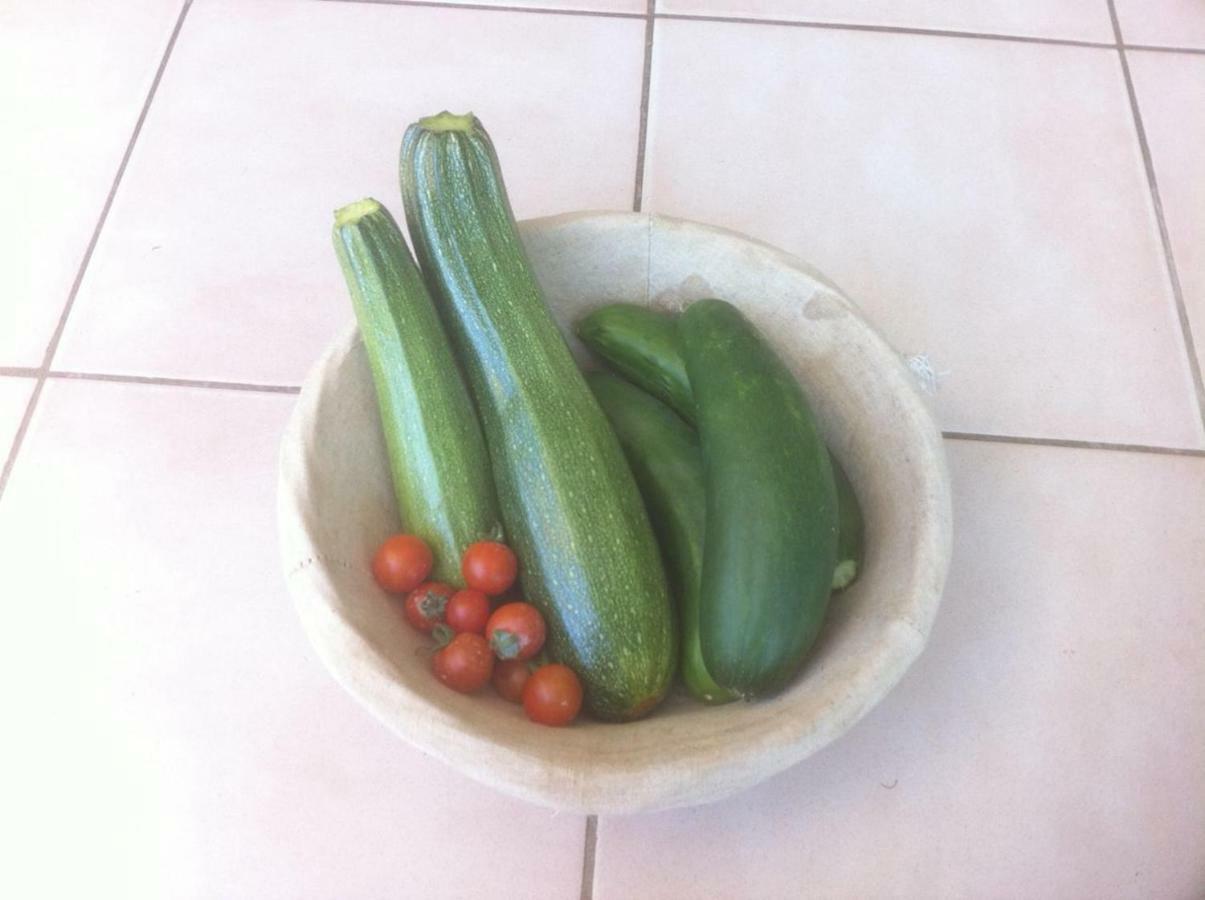 Cottage Poppy Tursac Ngoại thất bức ảnh